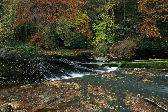 Autumnal River scene