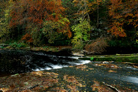 Autumnal River scene