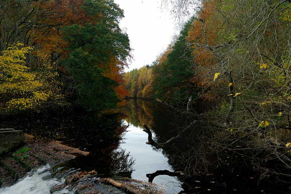 Colours of Autumn