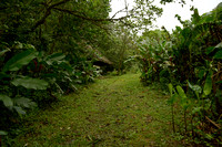 Path to start of Cerro Gaital trail
