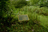 One of several notices at the start of Cerro Gaital trail