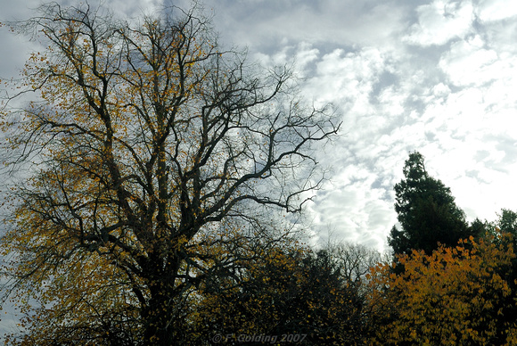 Dramatic Autumn Sky