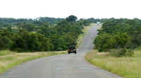 On the road inside Kruger National Park