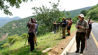 Viewing Verreaux's Eagles