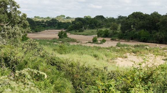View of river bed