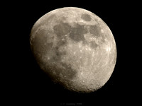 Moon in Gibbous phase